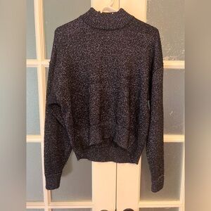 Zara Navy Turtleneck Sweater